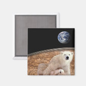 HET PRACHTIGE POOLSE BEER MAGNEET (Voorkant / Achterkant)