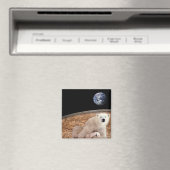 HET PRACHTIGE POOLSE BEER MAGNEET (Insitu (Vaatwasser))