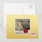 Het praktizeren van Iz mah tango Briefkaart (Voorkant / Achterkant)