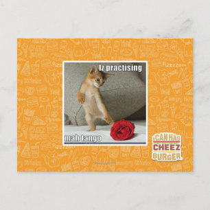 Het praktizeren van Iz mah tango Briefkaart