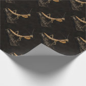 Het preken van Mantis komt overeen met de creepy I Cadeaupapier (Hoek)