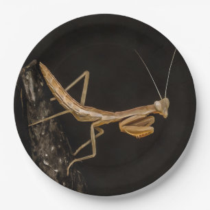 Het preken van Mantis komt overeen met de creepy I Papieren Bordje