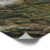 Het presidentiële monument van Mount Rushmore Poster (Hoek)