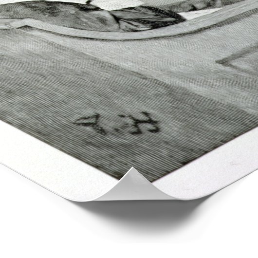 Het proces van een heks poster (Hoek)