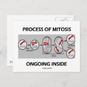 Het proces van mitose aan de binnenkant briefkaart (Voorkant / Achterkant)