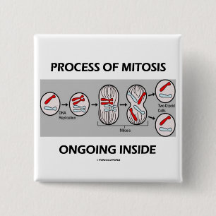 Het proces van mitose aan de binnenkant vierkante button 5,1 cm