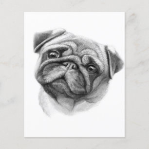 Het Pug-portret Mopshond Gezicht Flyer