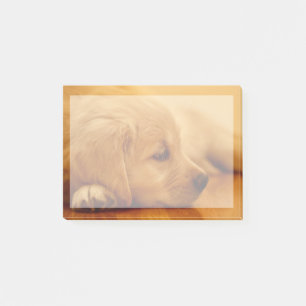 Het Puppy Antoine Melancholy I van het golden Post-it® Notes