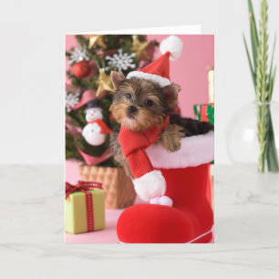 Het Puppy en Kerstmis van Yorkshire Terrier Feestdagen Kaart