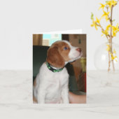 Het Puppy Notecard van Bretagne Kaart (Gele Bloem)
