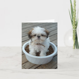 Het Puppy Notecards van Tzu van Shih Kaart