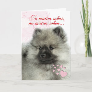 Het Puppy Valentijn van Keeshond Feestdagen Kaart