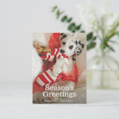 Het puppy van Dalmation met de kous en de hulst Feestdagenkaart (Staand voorkant)