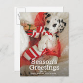 Het puppy van Dalmation met de kous en de hulst Feestdagenkaart (Voorkant / Achterkant)