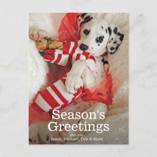 Het puppy van Dalmation met de kous en de hulst Feestdagenkaart (Voorkant)