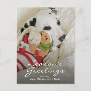 Het puppy van Dalmation met de Kous van Kerstmis Feestdagenkaart