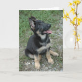 Het Puppy van de Hond van de Duitse herder Kaart (Gele Bloem)