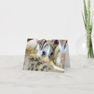 Het puppy van de whippet notecard kaart