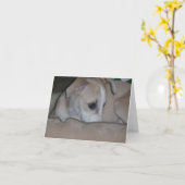 Het puppy van de whippet notecard kaart (Gele Bloem)
