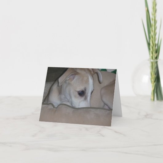 Het puppy van de whippet notecard kaart (Voorkant)