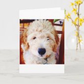 Het Puppy van Goldendoodle Kaart (Gele Bloem)