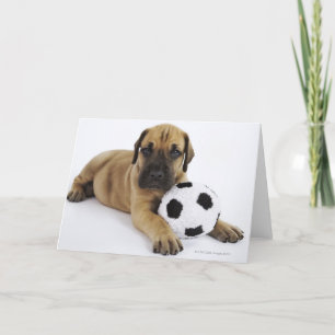Het Puppy van great dane met Voetbal Kaart