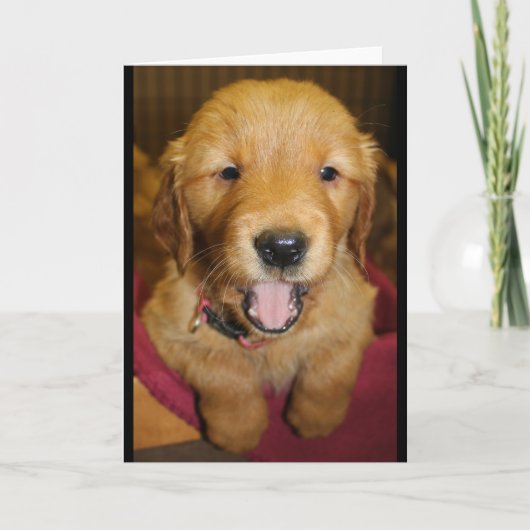 Het Puppy van het golden retriever Om het even Kaart (Voorkant)