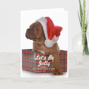 Het Puppy van Kerstmis als Kerstman Feestdagen Kaart