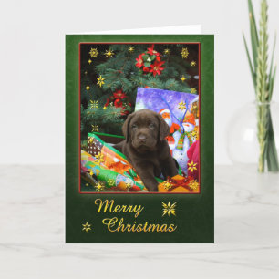 Het puppy van Labrador in Kerstmisstemming Feestdagen Kaart