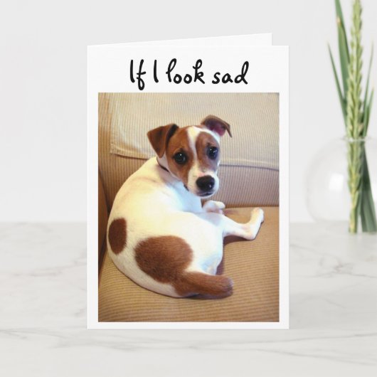 Het puppywenskaart van Jack Russell Terrier Kaart (Voorkant)