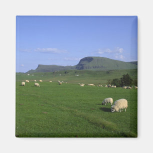 Het Quiraing-gebergte, eiland Skye, Hoogland, Magneet