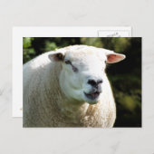 HET RAM BRIEFKAART (Voorkant / Achterkant)