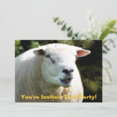 HET RAM KAART (Staand voorkant)