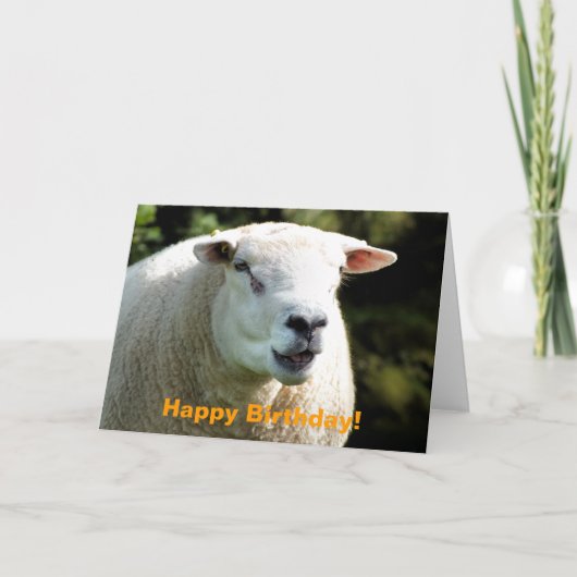 HET RAM KAART (Voorkant)