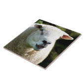 HET RAM TEGELTJE (Zijkant)