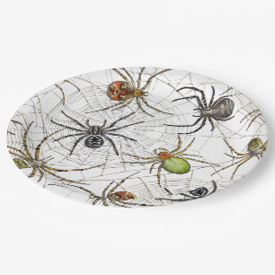 Het realistische Web Pattern van Spinnen Papieren Bordje