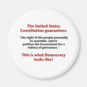 Het recht op vergadering - hoe ziet democratie eru magneet