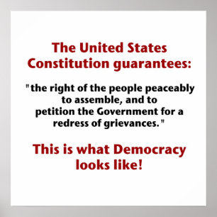 Het recht op vergadering - hoe ziet democratie eru poster