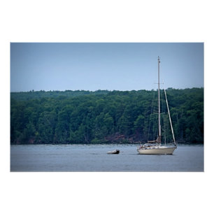 Het reddingsplan perfect poster