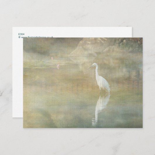 Het reflecteren van Egret Briefkaart (Voorkant / Achterkant)