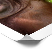 Het regenwoud van Orangutan is welkom Poster (Hoek)