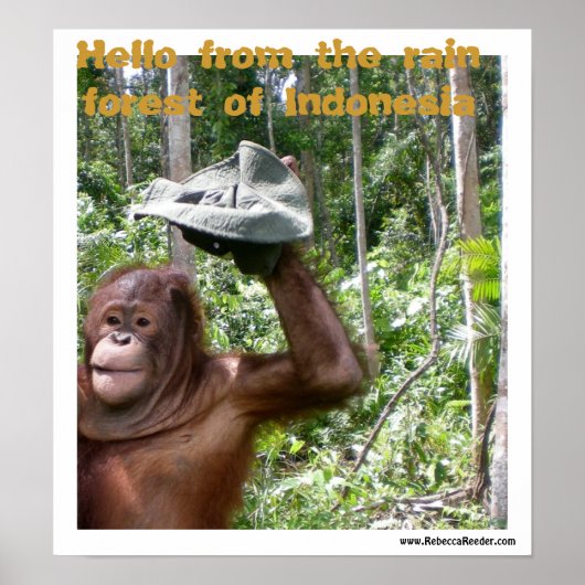 Het regenwoud van Orangutan is welkom Poster (Voorkant)