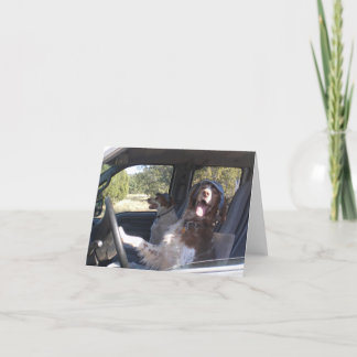 HET REIZEN BRITTANYS KAART