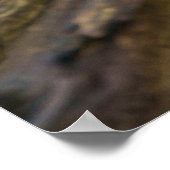 Het rijk van de witte wolven poster (Hoek)