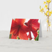 Het rode Close-up van de Amaryllis Kaart (Gele Bloem)