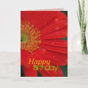 Het rode Happy Birthday Wenskaart van Daisy Kaart