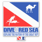 Het rode Zee duiken (sq) Sticker (Voorkant)