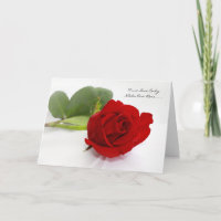 Het romantische Rood nam de Liefde van I u slechts