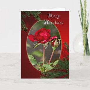 Het rood namen en Wenskaart van Kerstmis van de Feestdagen Kaart