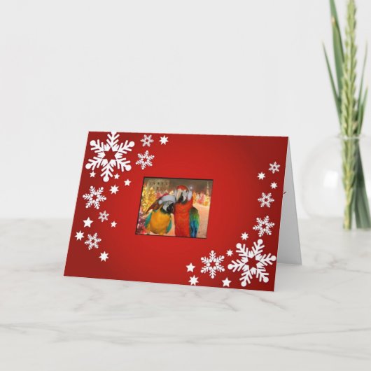 Het Rood van de Kaart van de papegaai (Voorkant)